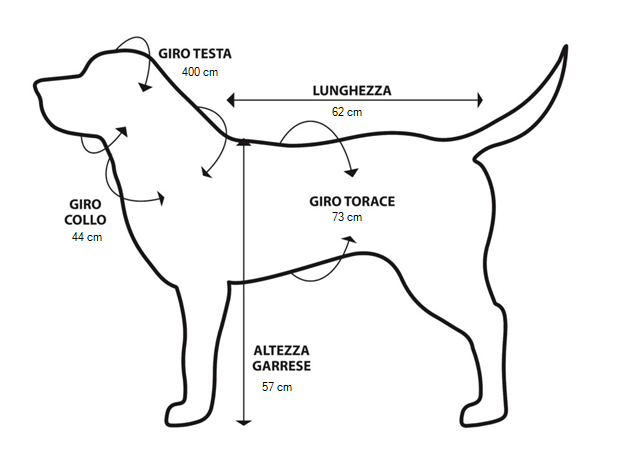 Dimensioni animale